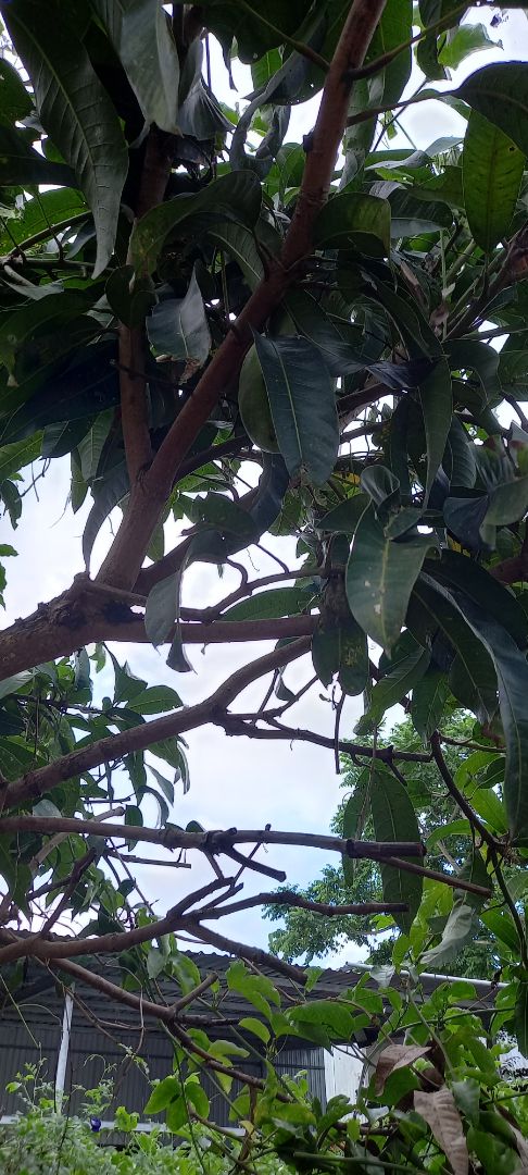 mua khăn kích thước 25×25 mà giao khăn nhỏ xíu chỉ 12×24 rất thất vọng, shop làm ăn k có tâm nếu khăn nhỏ thì nói nhỏ để người mua cân nhắc trước khi mua để khi mua về nhỏ xíu k làm được gì, liên hệ với shop thì bảo giao hàng đúng mẫu, k có bn tiền mà làm ăn vậy mua 1 lần rồi chạy mất dép