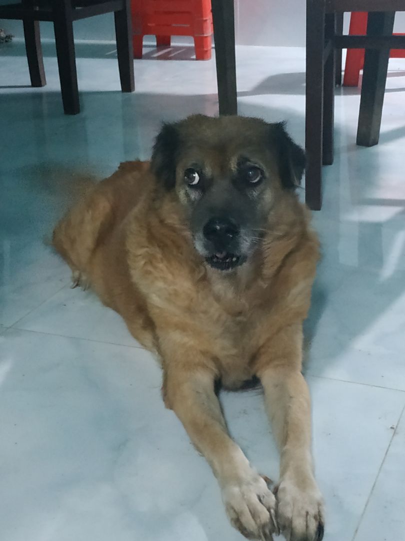 Buồn, mua 2 mà có 1 cái kệ giày dép. Không muốn nói. Tính tiền 2 cái. Buồn, mua 2 mà có 1 cái kệ giày dép. Không muốn nói. Tính tiền 2 cái.