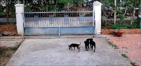 Viết nhận xét sau 1 thời gian sử dụng. Rất trân trọng shop tư vấn nhiệt tình. Tuy nhiên, hình ảnh của con yoosee này ở chế độ full HD chỉ có 1280 x 720 chứ không phải 1920 x 1080, làm góc hẹp hẳn. Theo shop nói là do yoosee giảm chất lượng để giảm giá thành. Mình hơi buồn vì đã trông đợi nó giống với mô tả là góc 1920 x 1080.