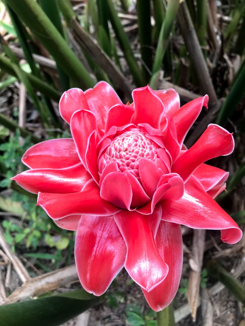 Bánh ngon nha mọi người, phù hợp cho người bận rộn, rất tiện ạ.Mình lười chụp hình ạ. Bánh ngon nha mọi người, phù hợp cho người bận rộn, rất tiện ạ.Mình lười chụp hình ạ.