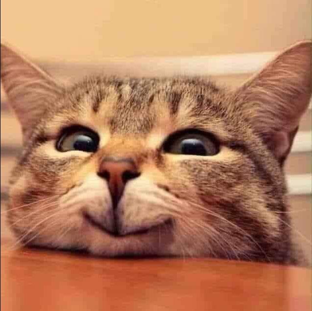 ? LÌ XÌ NHAU TRANG PHỤC MỚI VỚI ƯU ĐÃI GIẢM GIÁ TỪ ZALOPAY, BẠN CŨ GIẢM 30K, BẠN MỚI GIẢM 80K ?

Nạp game VNG lần đầu qua ZaloPay, giảm ngay 80k với gói 100k hoặc 200k!

Ngoài ra, các bạn cũ của ZaloPay cũng sẽ được lì xì 30k về ví ZaloPay khi thanh toán đúng số tiền của gói nạp. 

? Tặng nhau trang phục mới để đón Tết Tân Sửu nhé!

? Chi tiết chương trình xem tại: https://bit.ly/2LplmIR
? Cổng nạp chính thức của Liên Minh Huyền Thoại: Tốc Chiến: https://pay.zing.vn/product/tocchien

#TocChien #UuDaiZaloPay