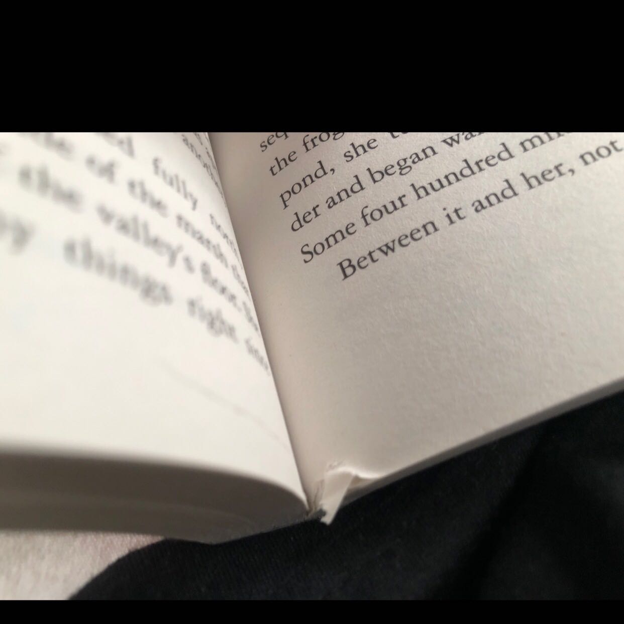 Sách bị lỗi rách bên dưới, không biết là do lưu kho hay do vận chuyển, nhưng tóm lại cũng mới, giao hàng nhanh ạ.