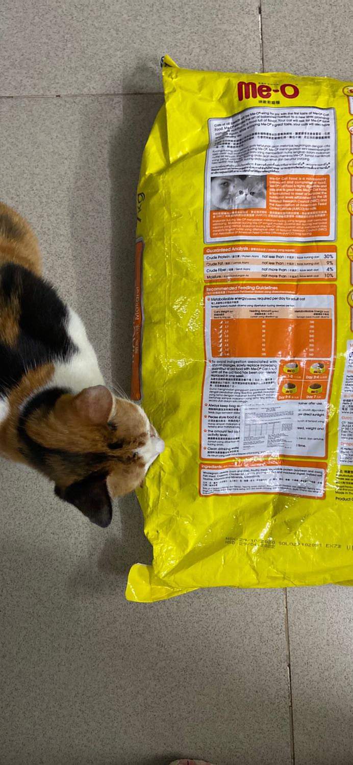 Đại sứ thương hiệu Me-o của nhà tôi đó, mê tít sản phẩm, vừa gỡ giấy nilon bao me-o là chú có mặt ngay để hít hà. 
Nhờ hạt Me-o mà chú béo tròn, lông mượt, lanh lẹ, hoạt bát,... đúng như thông tin sản phẩm.
Tiki trading giao hàng mau lẹ, uy tín, chuyên nghiệp, anh nhân viên dễ thương, cẩn thận.
Cảm ơn Tiki - hẹn đơn hàng sau.