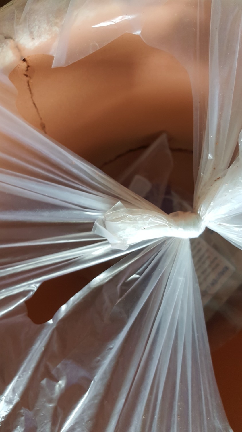 Mình là khách hàng thân thiết của Tiki. Luôn tín nhiệm đặt mua các sp giá trị hoặc hàng dễ vỡ trên Tiki do Tiki luôn đóng gói và vận chuyển hàng tốt hơn. Đây là lần đầu tiên mình thất vọng với sp do Tiki giao tới. Mình đặt đơn hàng #658189621 là 1 bình lọc gốm ngày 12/8/2019 và nhận được hàng tại địa chỉ ngày 13/8/2019. Mình đi công tác nên cuối tuần 18/8/2019 về mở sản phẩm ra thì ôi thôi lõi lọc gốm nứt vỡ làm rất nhiều mảnh dù còn nguyên hình dáng (Nếu đã tháo ra khỏi túi bọc lõi thì không thể nào xếp lại được. Mình không bao giờ đẩy trách nhiệm hư hỏng sp do sử dụng cho nhà bán hàng). Gọi tổng đài 19006035 thì được trả lời sp chỉ được đổi trong 48h. Chính sách đổi trả này bất lợi cho khách hàng hơn chính sách đổi trả của các trang TMĐT khác (7 ngày đổi trả trở lên). Lõi lọc gốm thì Tiki lại không bán. Nếu đặt trên *** thì tốn thêm 428k. Thiệt hại cho khách hàng và mình thấy cách giải quyết của Tiki chưa thỏa đáng. Theo mình trong thùng nên có thêm 1 lớp xốp để lõi lọc gốm không bị bể vỡ. Chỉ có bao xốp bongs hơi ngoài thùng là chưa đảm bảo (Việc này Tiki có thể làm hoặc phản hồi với nhà sản xuất. Người Nhật bảo quản rất tốt các sp gốm vì khi nung thành gốm đất đã chết). Với người mua, nên kiểm tra sp ngay sau khi nhận hàng để có thể đổi trả nếu hư, bể. Mình xem nhận xét thì thấy có các bạn khác gặp tình trạng tương tự. Mình ở ngay Tp.HCM và sp do Tiki giao còn vậy thì các bạn ở tỉnh nhận hàng sẽ rất dễ bị bể vỡ. Kiến nghị nhà sản xuất bổ sung xốp lót phía trong thùng.