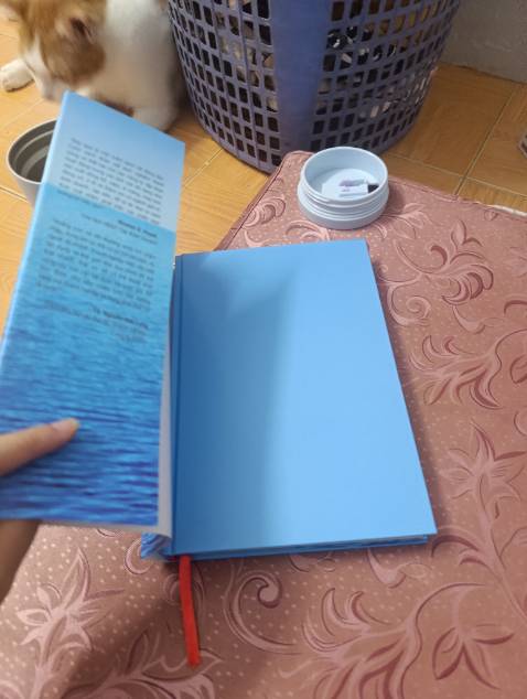 Mặc dù là bìa cứng , thông thường mình thấy sẽ đc in cả mặt ngoài và mặt trong 
Nhìn mặt sách thấy hơi giống sách giả quá ạ 🫠🫠🫠