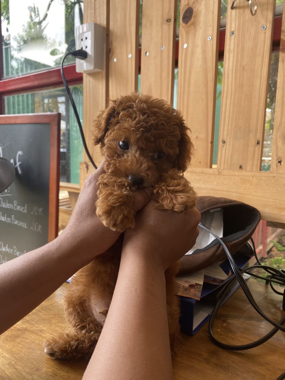 Hohihihihohohohi hàng ok nha