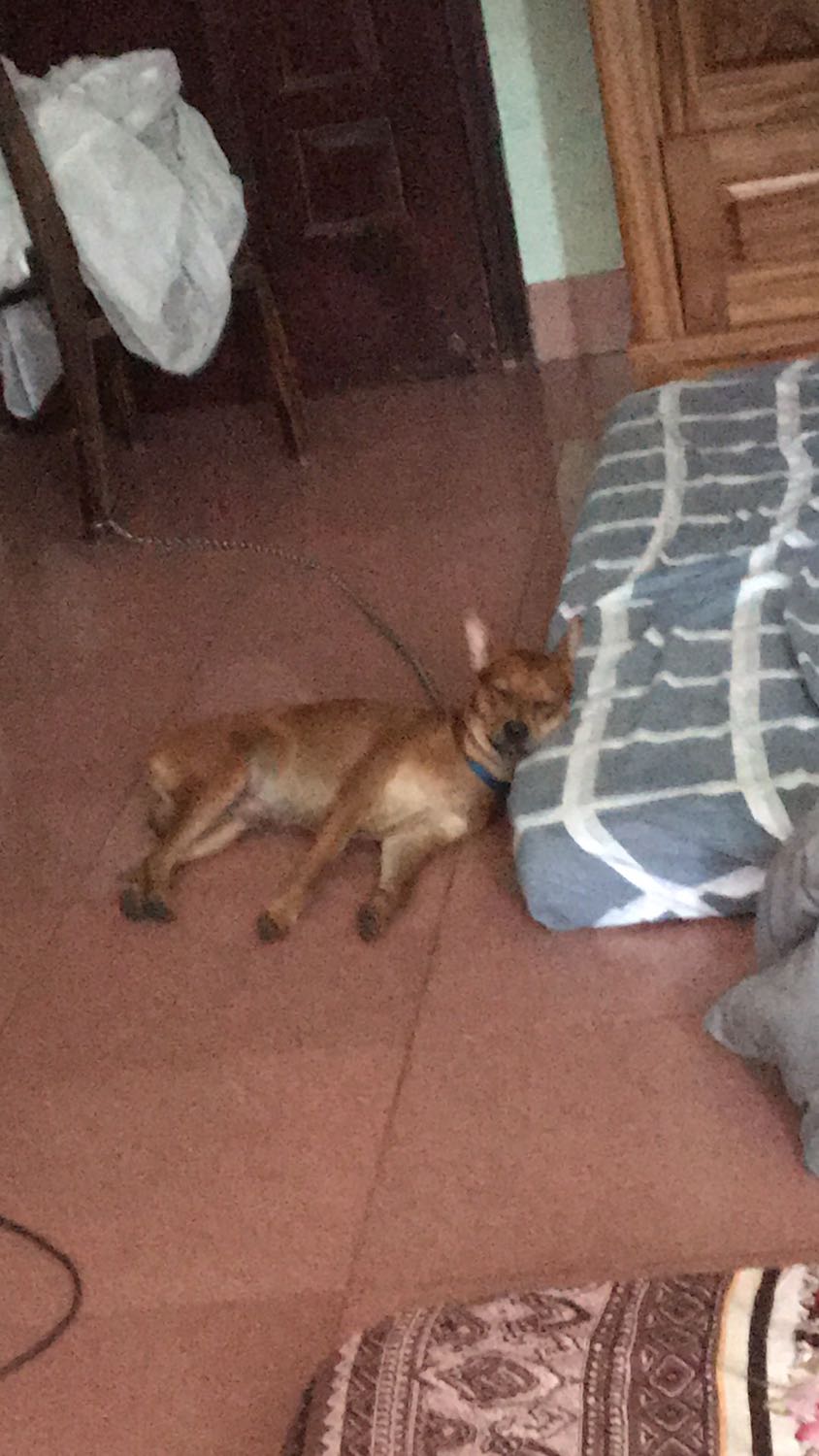 sản phẩm chất lượng tốt !!! phù hợp với giá tiền , uống ban đầu còn nhiều mùi thơm chư để lâu mùi k thơm nữa , nói chung là ổn