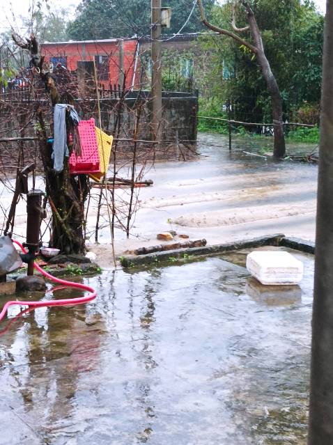 Giao hàng phải nói là siêu siêu nhanh luôn hàng chất lượng ok 👌