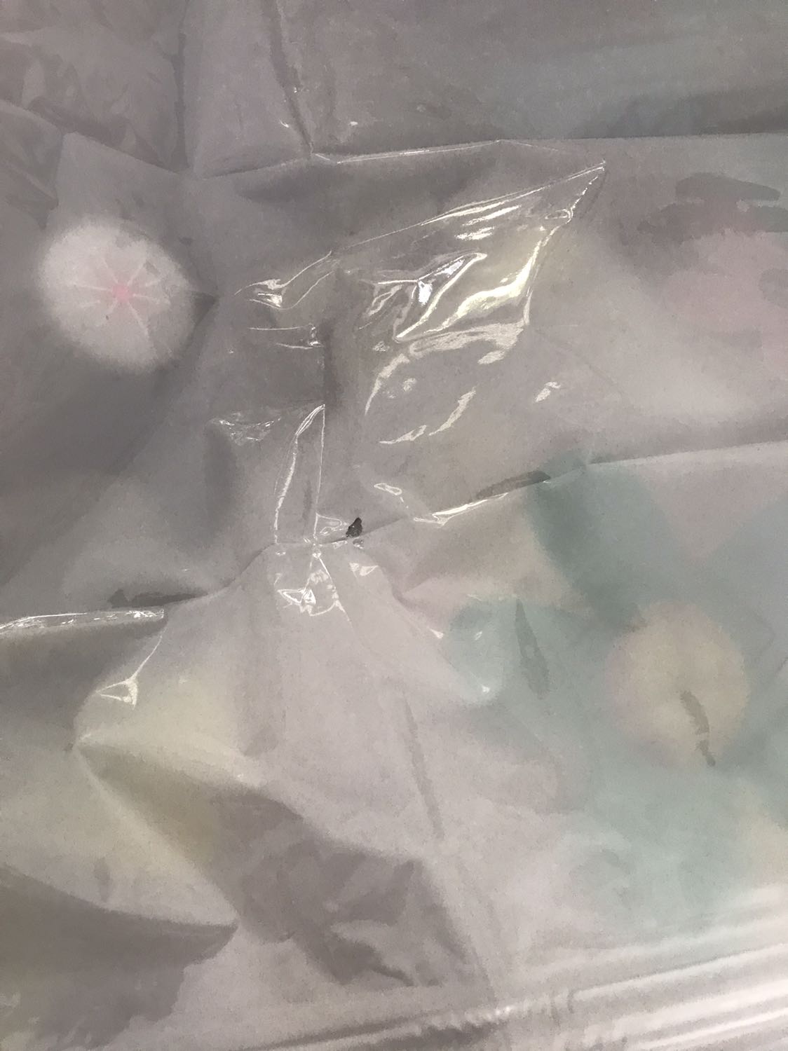 Giảm giá chắc có lý do mình bị lỗi ở cả 2 cái túi to nhất một cái ở mép một cái rơi vào thân túi. Đầu xuân shop mang lại cho mình sự may mắn hay rủi ro đây ?. Mình dễ tính nên mình góp ý nên mình chấm 4 sao. Cái bơm thì chắc luôn không có tác dụng gì. Túi thì không dày cho lắm hy vọng dùng lâu dài được.