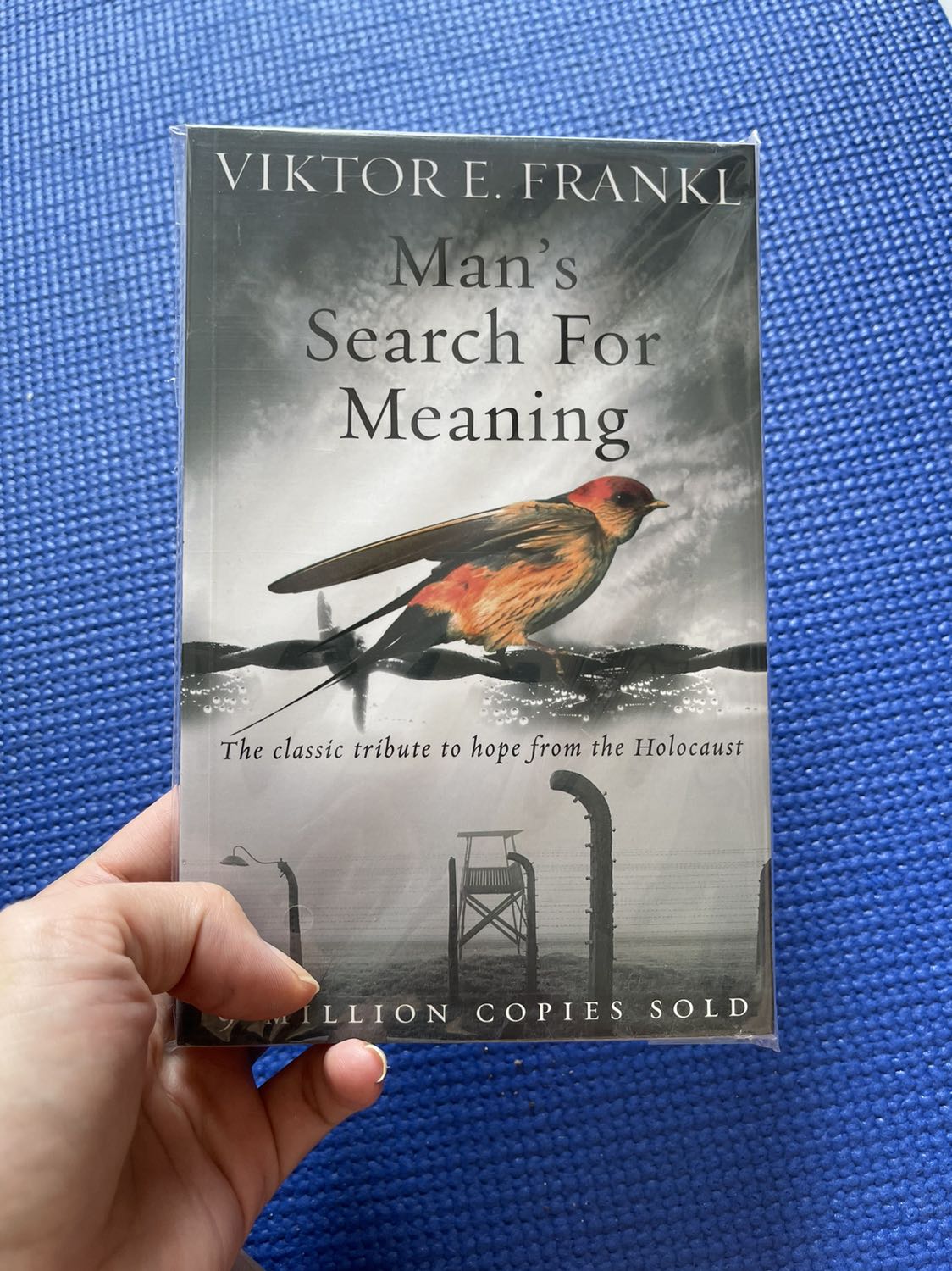 Giao hàng cực nhanh