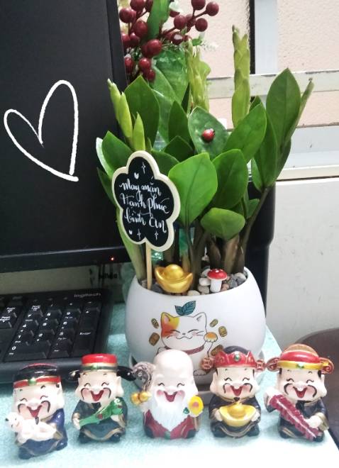 Hình ảnh mang tính chất lụm xu.....mình mới dùng thấy okie.