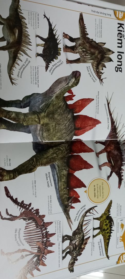 rất là đa dạng khủng long luôn, hình ảnh minh họa chân thực, sống động, phân chia từng thời kì cực kì khoa học, giống loài vô cùng đa dạng, đúng là sách dịch từ nước ngoài có khác.