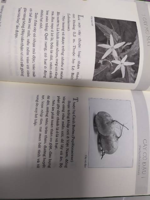 Sách đẹp, đóng gói tốt, giao nhanh.