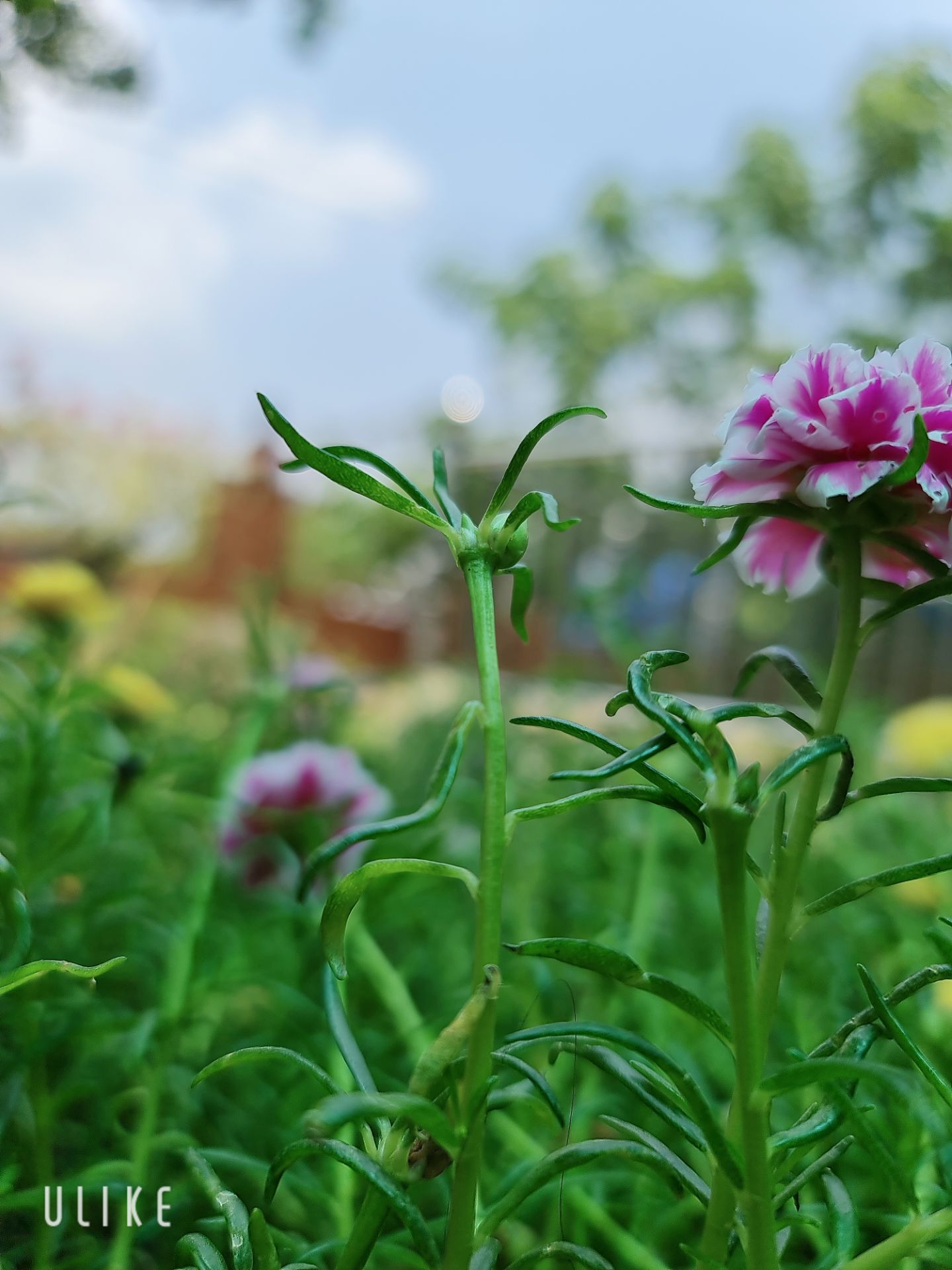 quá thích luôn..mới thoa có 1 ngày mà thấy môi đỡ thâm hơn rồi..mùi thơm dễ chịu quá thích luôn..mới thoa có 1 ngày mà thấy môi đỡ thâm hơn rồi..mùi thơm dễ chịu