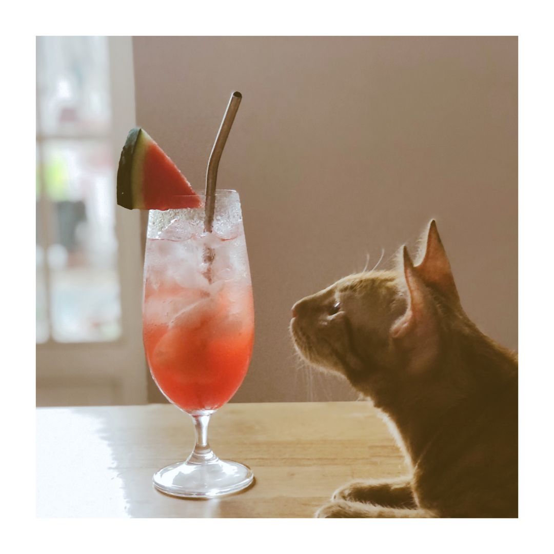 sách vô cùng hay , cha mẹ nếu biết tiếng anh thì nên mua đọc cho con . sách giải đáp những lĩnh vực khác nhau rất thú vị. mình lười chụp hình. hihi