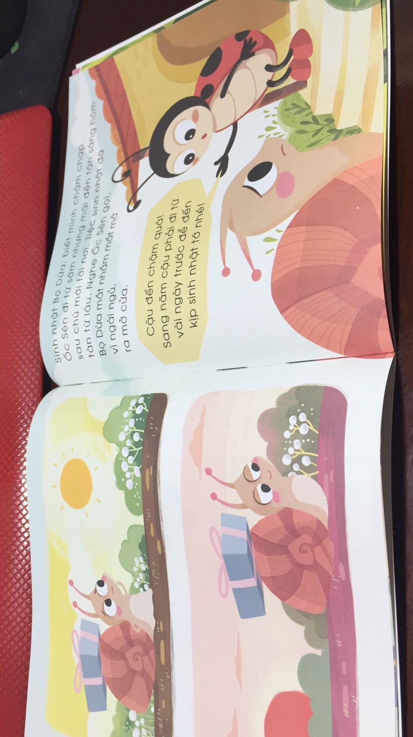 Tương đối đẹp mắt, bình giấy phủ nilong