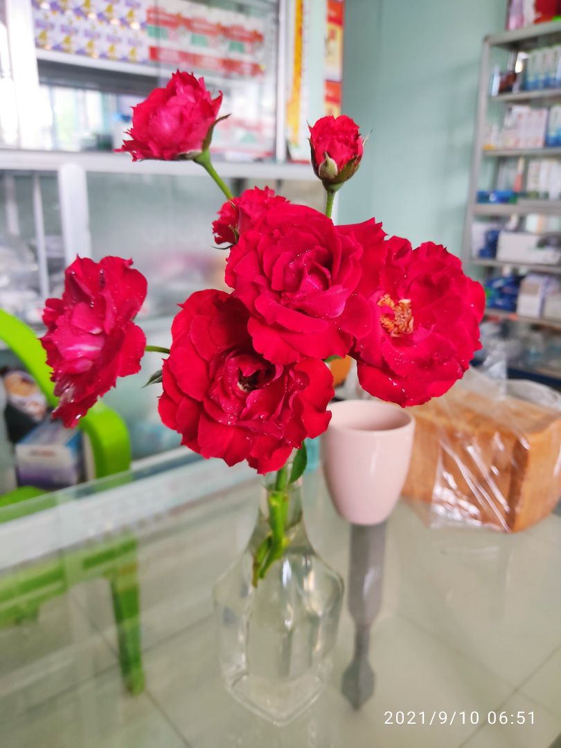 nắp k đậy kín được. nên chỉ đựng thức ăn khô hoặc đựng thực phẩm sống bỏ ngăn đông thì thích hợp hơn. k đựng được canh hay món ăn có nước đâu nhé vì nắp k gài kín dc