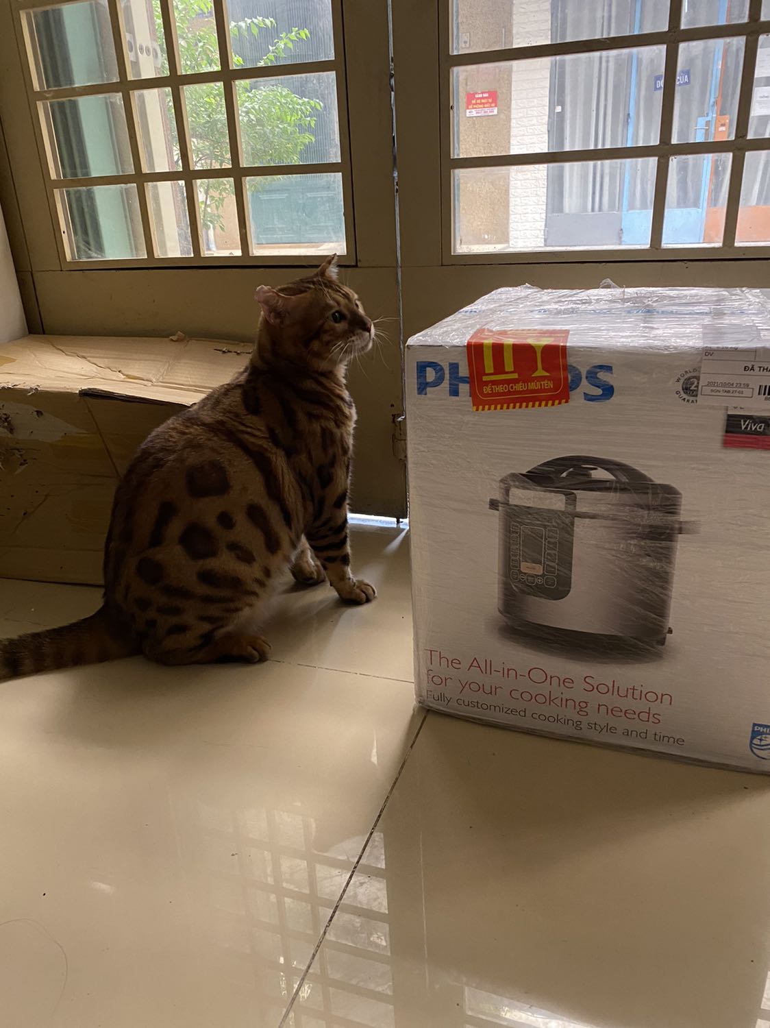 Mùa dịch nên giao hàng rất chậm, gần 1 tháng, ngóng dài cổ… Nồi xài cực thích , nấu siêu nhanh, dung tích 6 lít vừa cho gia đình 4 người, rất nên mua !