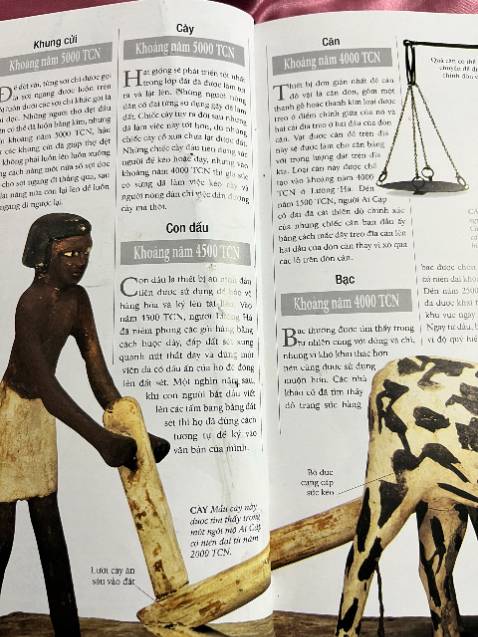 Sách đóng bị lỗi, bị lỗ hết quyển