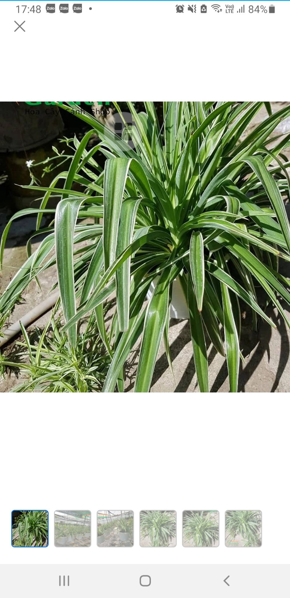 mình mới thử vị cam, cũng ngon ạ, ban đầu sợ ko hợp nhưng uống thấy oki phết ạ.  hh