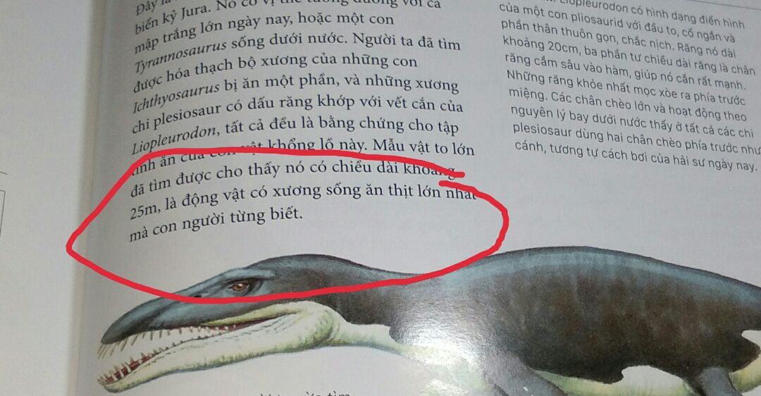 Cuốn sách với tựa đề gốc " the complete book of dinosaurs " của Dougal Dixon - tác giả của nhiều cuốn về động vật nổi tiếng. Mình sẽ nhận xét cuốn sách này những mặt như sau:
 Về chất lượng : cuốn sách mà tiki giao tới còn nguyên vẹn, mới tinh và có mùi thơm của sách. Shipper của tiki thân thiện,  giao hàng đúng hẹn. 
 Về nội dung : 
    Tính tới thời điểm hiện tại, thì đây là cuốn sách về khủng long đầy đủ nhất tại Việt Nam. Cuốn sách giới thiệu 355 loài khủng long và động vật thời Tiền sử khác như dực long, placodont, ngư long,nothosaur,... cuốn sách nêu từng loài khủng long trong kỉ Triassic, Jurassic và Creata trong đó từng thời gian sẽ phân loại,sắp xếp các loài trong các nhóm khủng long .Mỗi loài luôn có thông tin về kích thước, nơi phát hiện và phân loại rất chi tiết. Tên từng loài được giữ nguyên và có thêm các tên Hán Việt giúp người đọc dễ nhớ hơn. Và cái cuối cùng là sách được minh hoạ bằng hình ảnh đẹp đến từng chi tiết. 
       Nói về nhược điểm,theo mình thì cuốn sách này chỉ đúng hơn 80 phần trăm các thông tin. Do cuốn sách được ở nước ngoài xuất bản vào 2010 , nên tính đến thời điểm hiện tại 2019 thì cũng có những sai sót về thông tin lẫn hình dáng của chúng. Ví dụ như trường hợp con Liopleurodon ở trang 125 nói rằng chiều dài của nó là 25 m tuy nhiên hiện tại  kích thước của nó chỉ còn 7 m và còn kha khá lỗi sai khác nữa. Về bản dịch không nói tới lỗi sai chính tả thì bản dịch khá tốt. Mong Đong A có cập nhật những thông tin ngày càng chính xác để có hiệu đính cuốn sách ngày càng tốt hơn.  
 Cuốn sách này đáng được mọi người đọc và kham khảo, kể cả trẻ em và người lớn :v
