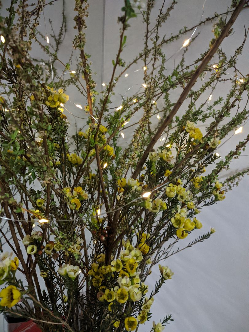 Hàng giao đủ bộ như đặt hàng: dây + hộp pin, lắp pin tiểu vào là dùng được ngay. Ưu điểm: mỏng nhẹ, gọn gàng, giấu gọn hộp pin vào gốc cây, không phải cắm dây điện loằng ngoằng. Đủ chế độ: nháy / sáng ko nháy.