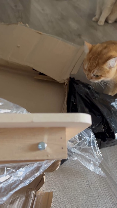 Bán hàng tệ, không đúng hình ảnh quảng cáo. Hàng giao bị gẫy thanh ngang ở 1 bên chân. Chân rung rinh, tất cả các cạnh đều sắc bén, gồ ghề.  Hoàn toàn khác hình, khách hàng tin mua, rốt cuộc mất thời gian chờ, mất niềm tin…