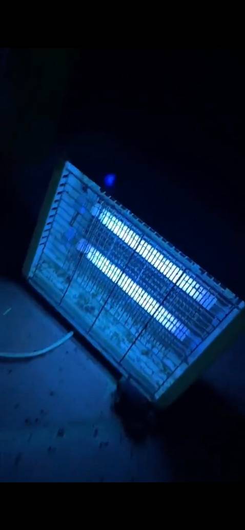 Đã mua nhiều lần ở shop, sản phẩm chất lượng sẽ ủng hộ và giới thiệu cho người thân mua thêm. diệt muỗi và côn trùng hiệu quả lắm. 
Nếu bây giờ được chọn lựa một lần nữa
Thì chắc có lẽ vẫn yêu em như ngày xưa
Nếu bây giờ được chọn lựa điều anh ước mơ
Thì anh tin anh vẫn mơ như anh từng mơ