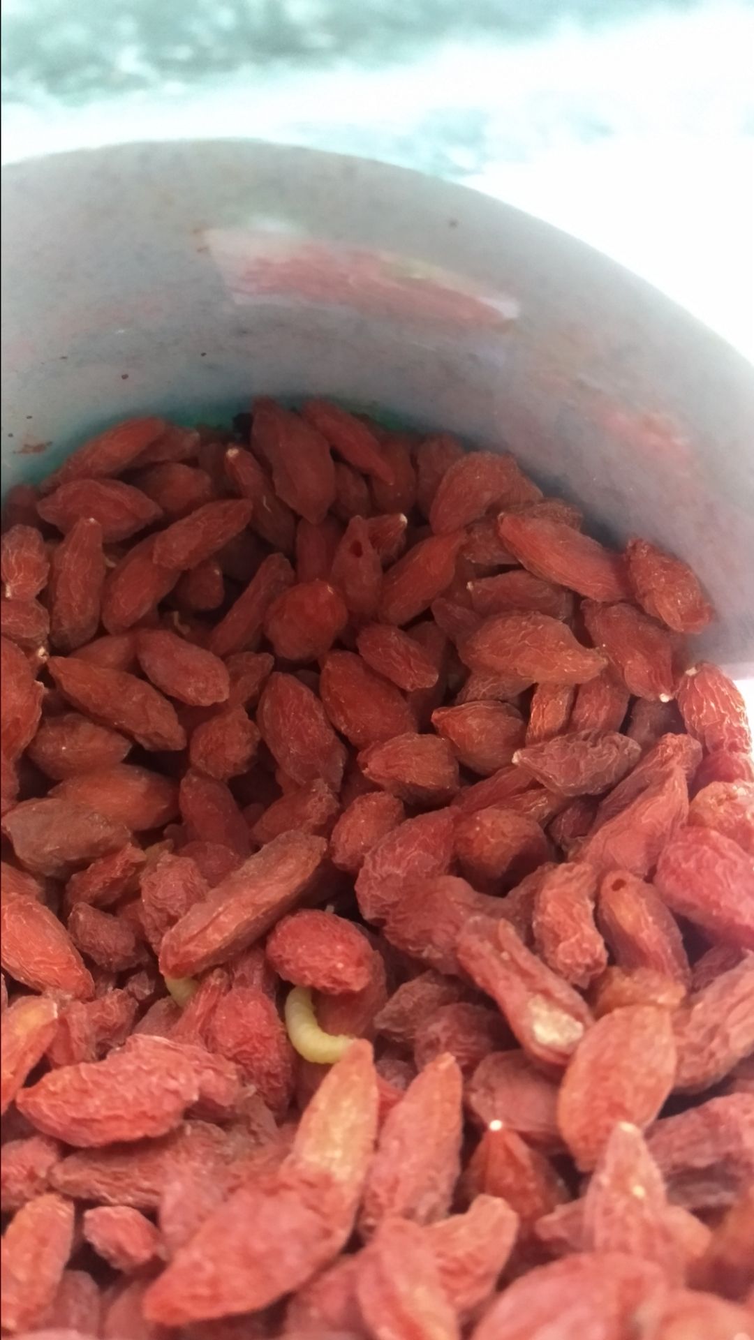 Đây là sản phẩm tệ nhất mà tôi từng mua tại Tiki.
hộp đóng sơ sài, chỉ có 1 cái tem nhỏ xíu dán giữa thân hộp và nắp hộp, không có gói chống ẩm.
ngày đầu tiên mở hộp thì có 1 kén ấu trùng và vài hạt mộc trên đầu, nhưng vì mở hộp rồi nên tôi bỏ những hạt bị hỏng đi và dùng.
sau khi dùng 1 tuần thì hộp bắt đầu xuất hiện dòi như hình ảnh.
tôi không thể tin được tiki có thể bán những sản phẩm tệ hại như trên, đáng tiếc là tiki không có chế độ hoàn tiền cho những sản phẩm như vậy.