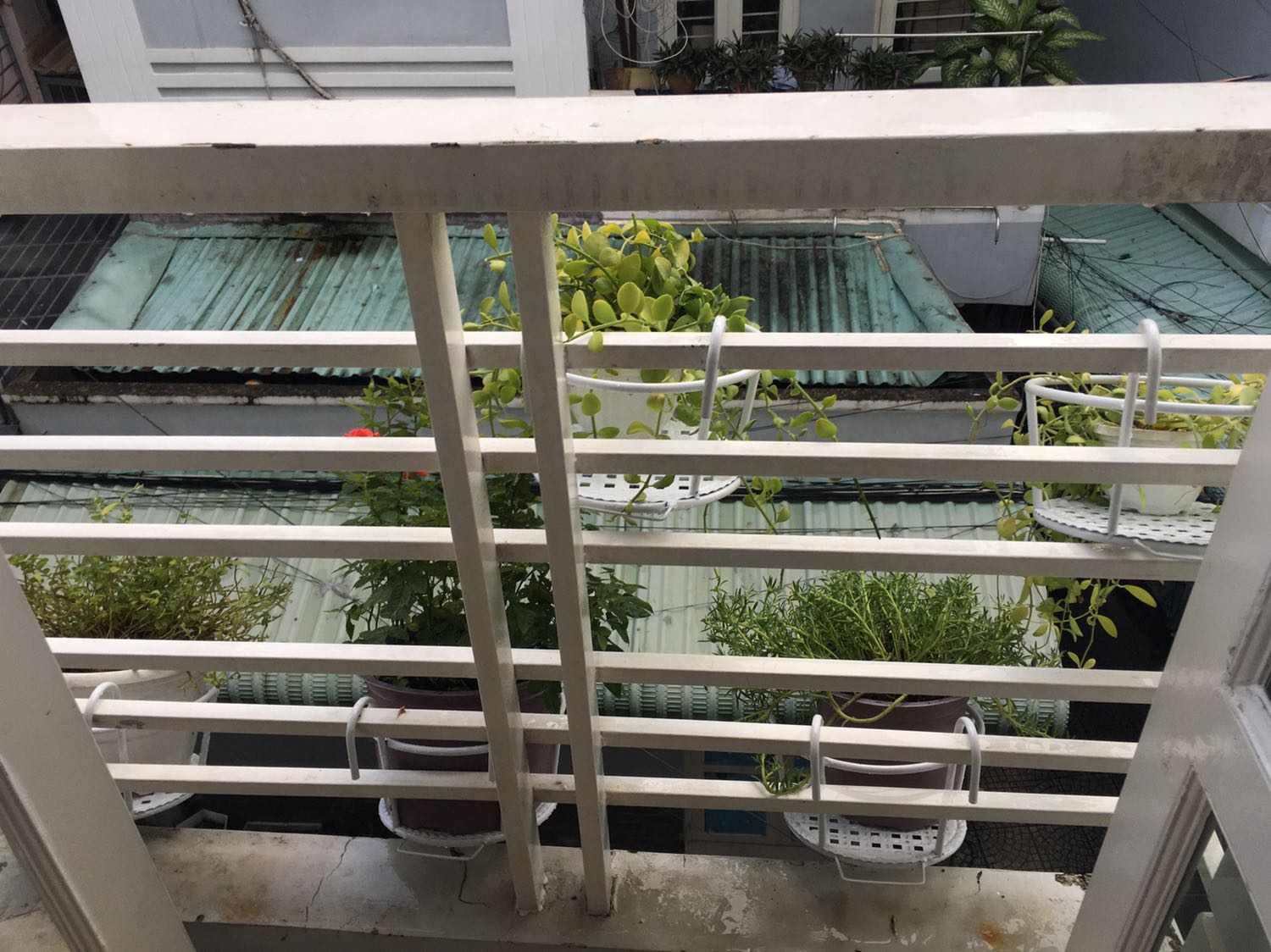 Giỏ đẹp, chắc... nha mn. đẹp mà rẻ nua. Mua đi mn nhé