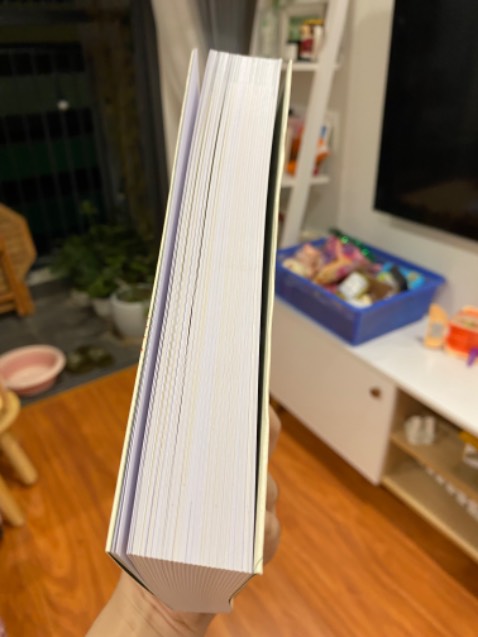 Một cuốn sách về chủ đề Nhãn hiệu rất trực quan và gần gũi, rất hữu ích cho anh em doanh nghiệp. Sách in đẹp, dày, chắc chắn, nhìn bìa giống y chang bộ hồ sơ đăng ký nhãn hiệu.