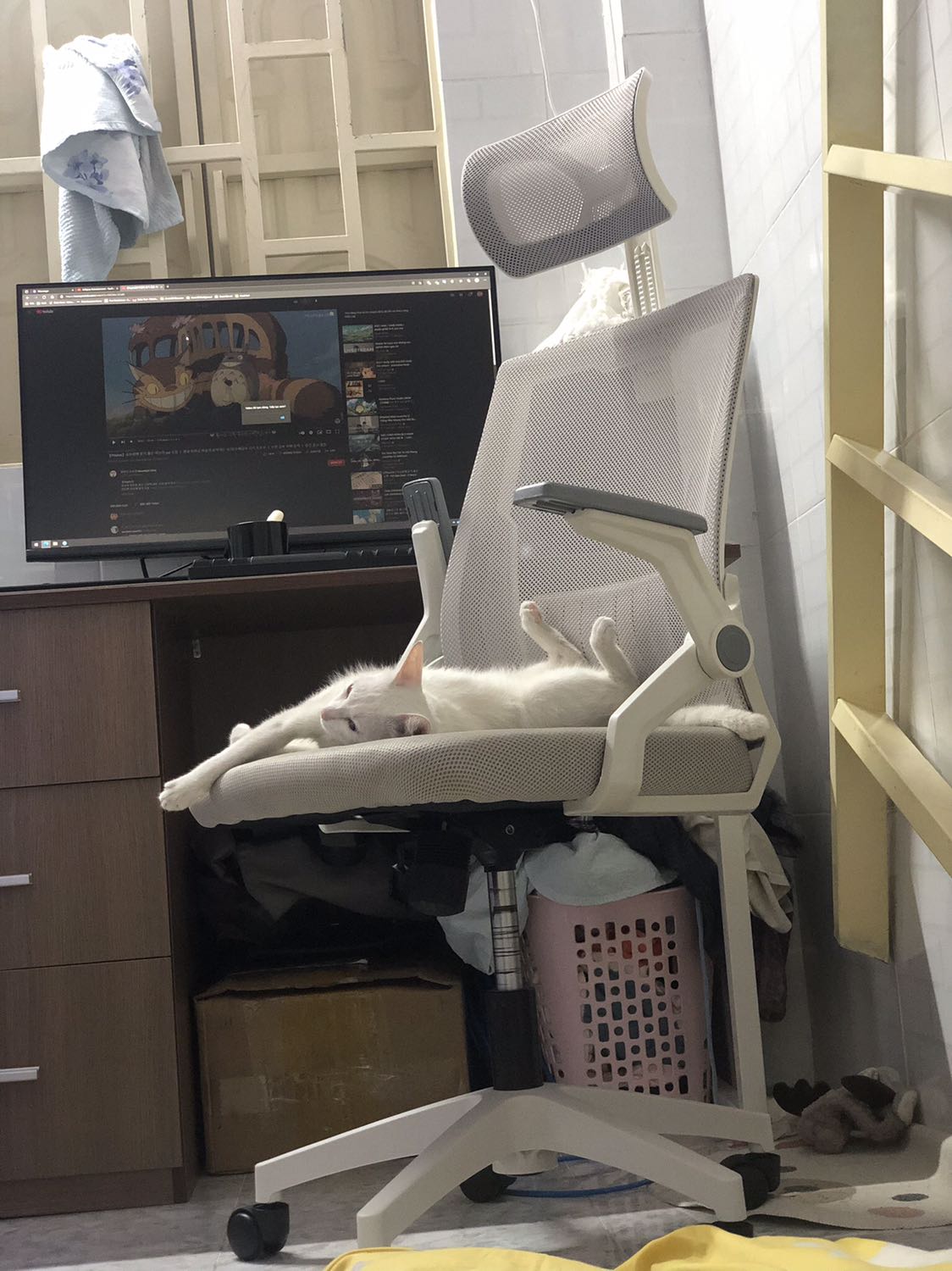 Ghế đẹp, đóng gói tốt. Có đều ko có hướng dẫn lắp ráp nên với người mới thì hơi tốn thời gian tìm hiểu