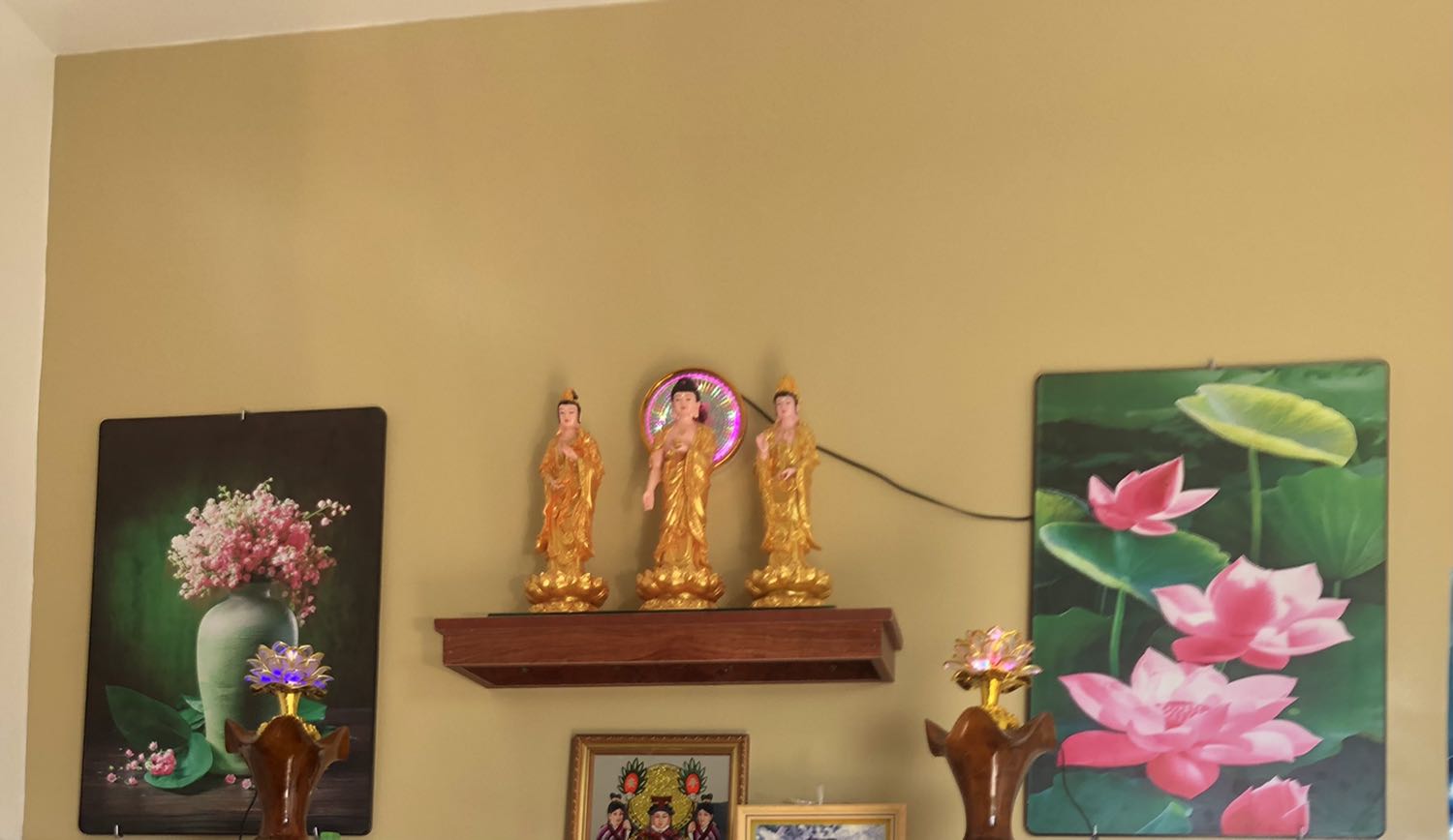 Hàng đẹp xuất xắc và giao nhanh