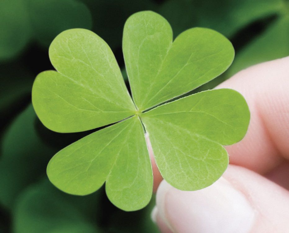 Giao hàng nhanh. Đóng gói kỹ. Chất lượng ok