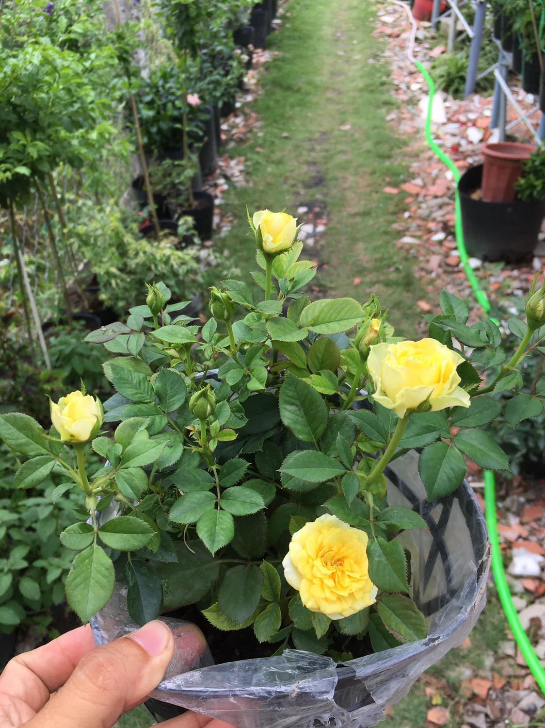 Cám ơn vì đã bán cho tôi một sản phẩm chất lượng với giá thành hợp lý. Với nhân viên giao hàng tuyệt vời và thời gian giao hàng nhanh chóng