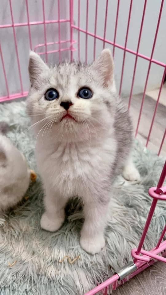 Sách đẹp. Đóng gói cẩn thận. Điểm 10 cho shop ạ