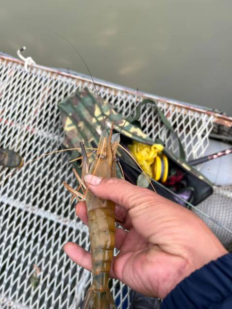 Sản phẩm tốt chất lượng nên mua. ghế đẹp như hình đầy đủ phụ kiện