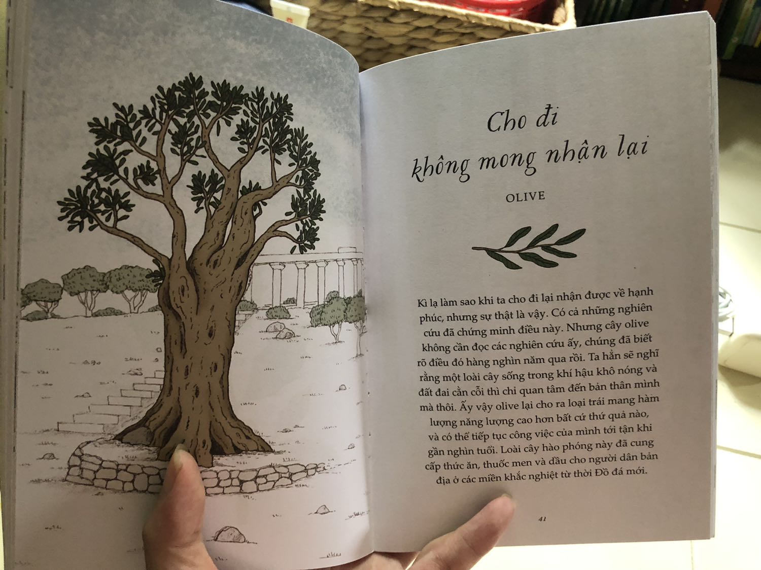 Sách kèm hình ảnh rất đẹp
Giao hàng nhanh hơn dự kiến