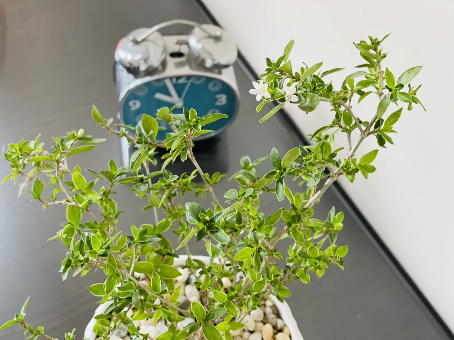 đèn chất lượng tốt, sản phẩm giao hơi chậm .................