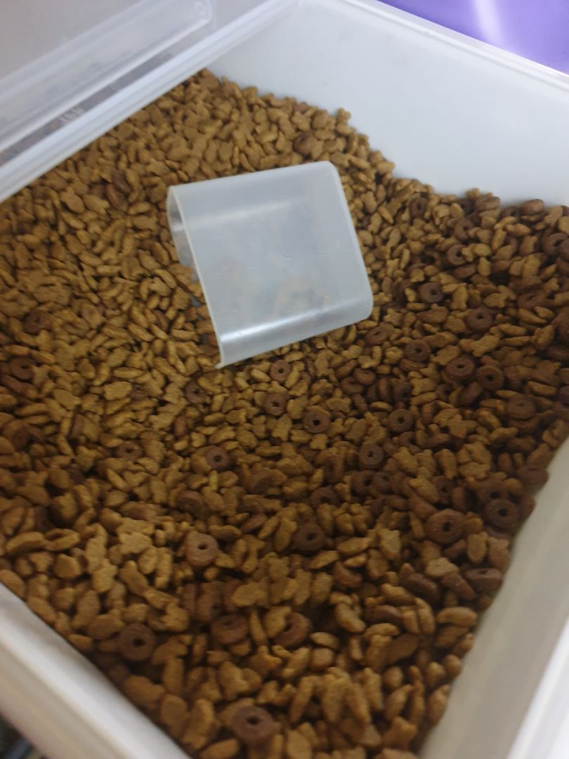 sản phẩm giao đúng đơn hàng, mèo nhà mình thích loại này.