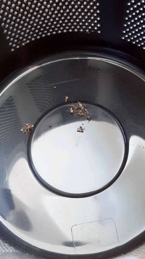 Gói hàng cẩn thận, bắt muỗi cũng tạm được, đêm không thấy muỗi vo ve bên tai nữa