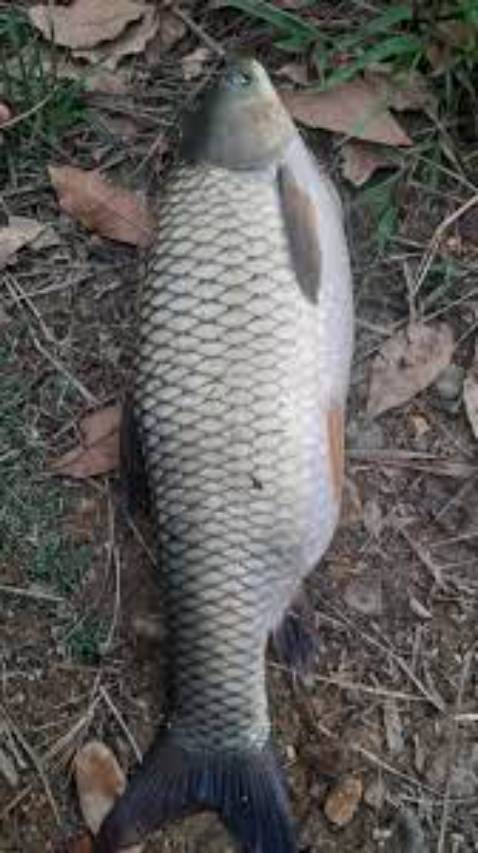 tiền nào của đấy anh em. đáng mua