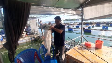 Giao hàng nhanh hình ảnh không liên quan tới sản phẩm nha ạ