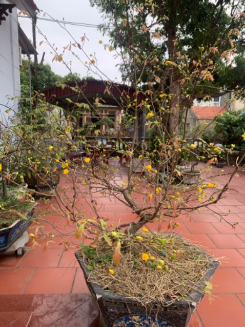 Tốt nhiệt tình chu đáo hài hoà