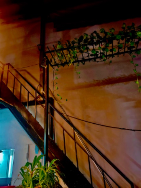 Hương vị rất tuyệt, dùng để rắc khoai tây hoặc những món liên quan đến cheese, cám ơn shop nhiềuu 🥰🥰