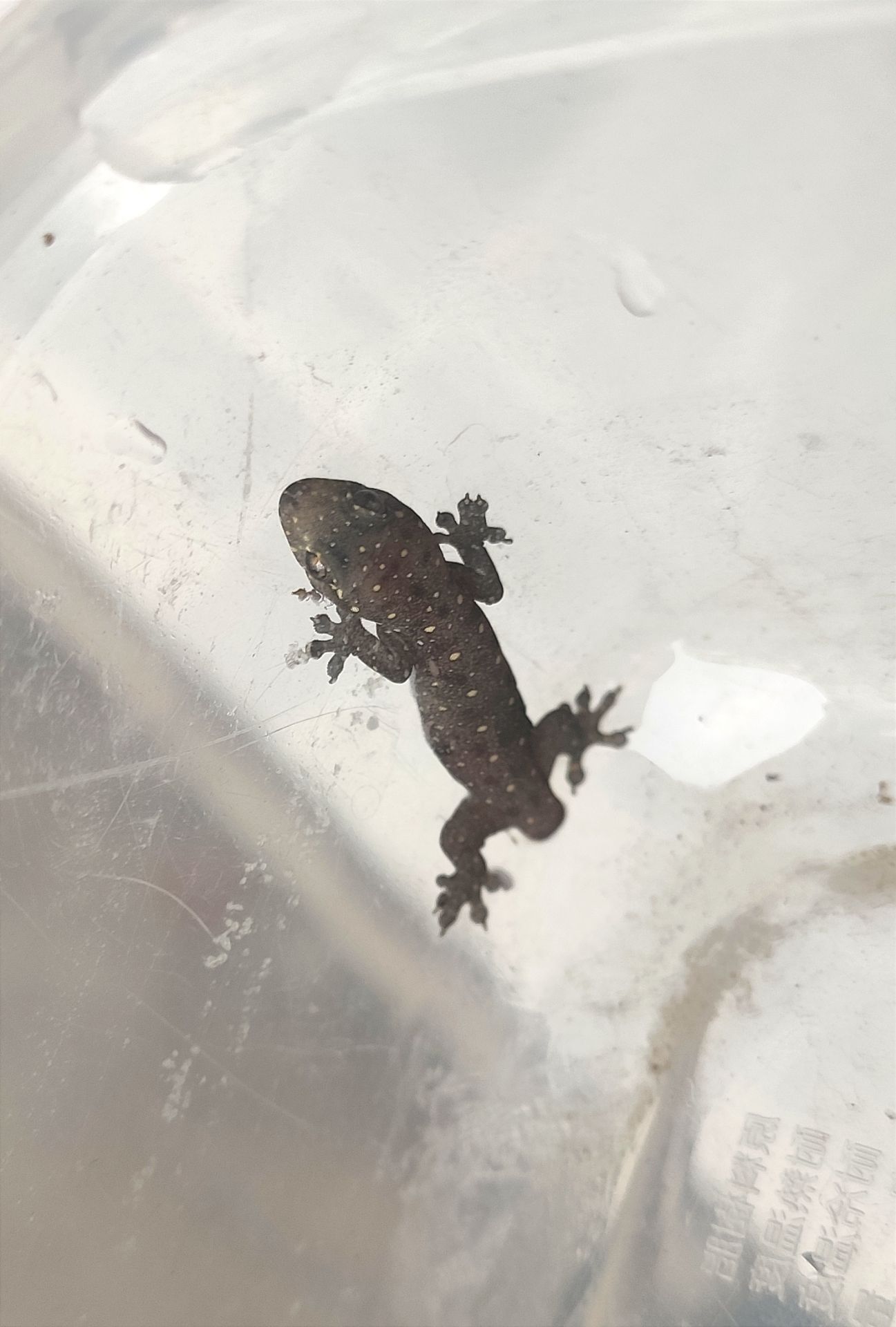 Chất lượng sản phẩm tuyệt vời, sản phẩm rất đáng tiền, shop phục vụ rất tốt. Dịch vụ vận chuyển rất nhanh ok ??