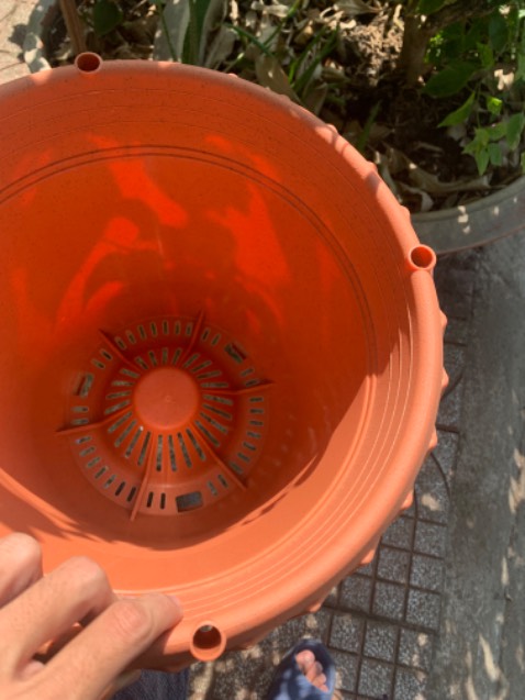 Tiki giao hành nhanh, hơn 3 tiếng là giao tới rồi. Chậu thì đẹp, chắc chắn, cầm nhẹ tay. Trên miệng chậu còn lỗ cắm khung leo cho mấy hoa hồng leo nhà mình, đỡ phải cắm xuống đất. 10 điểmmmm cho shop