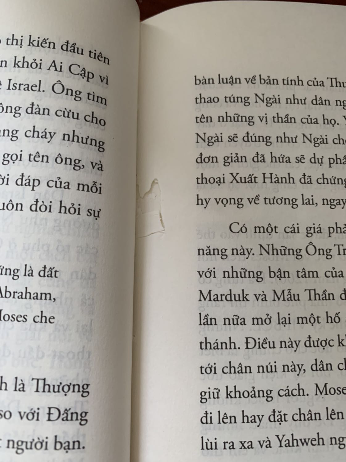 Nội dung sách rất thú vị với những ai thích tìm hiểu và nghiên cứu về tôn giáo độc thần. Nhưng không may cho mình là sách bị rách đến mấy trang, thật sự không hài lòng. Rất mong Tiki có phản hồi và hỗ trợ để được đổi sách. Một cuốn sách hay mà bị rách như vậy thật sự rất khó chịu khi đọc.