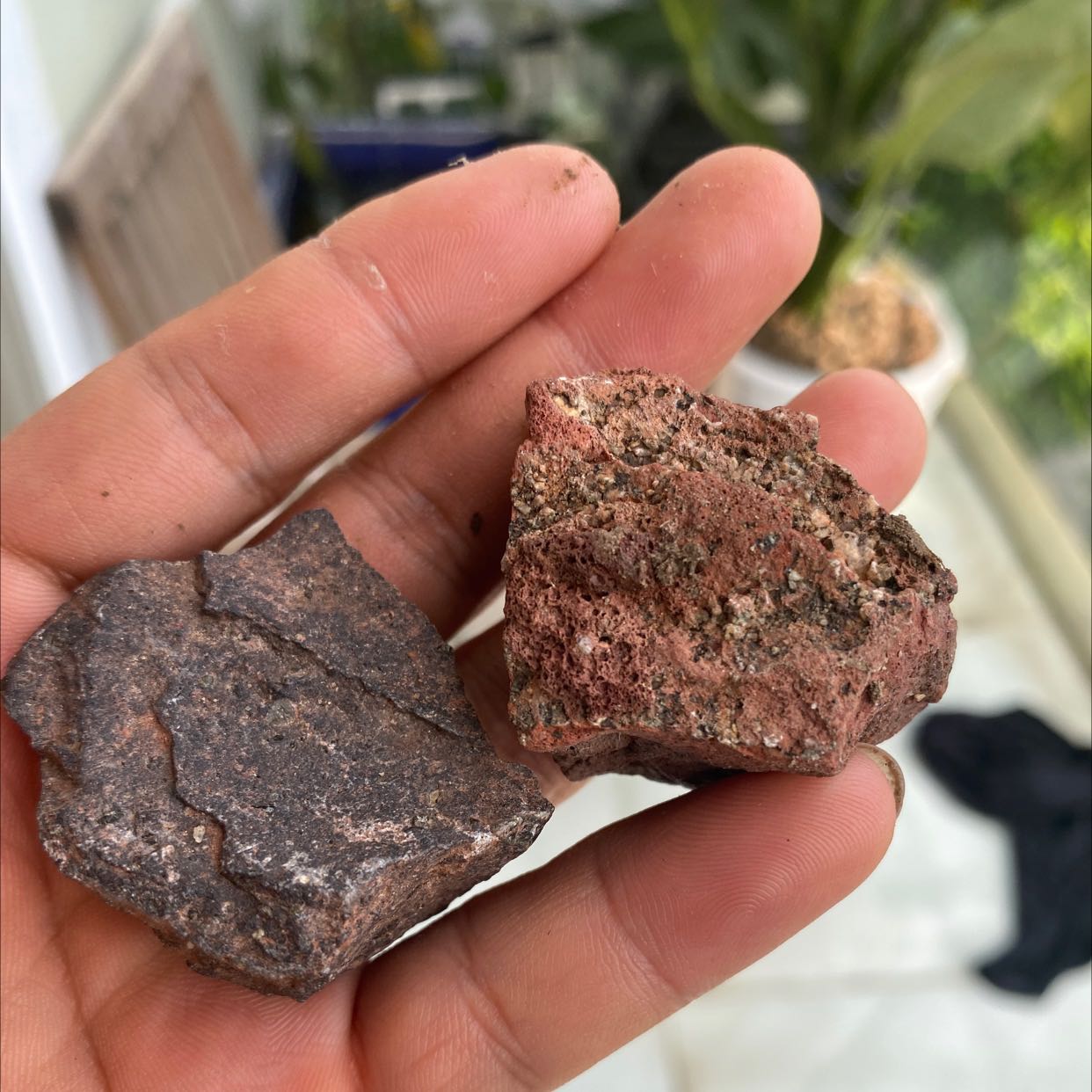 Nham thạch giả trộn đá vào *** thât.