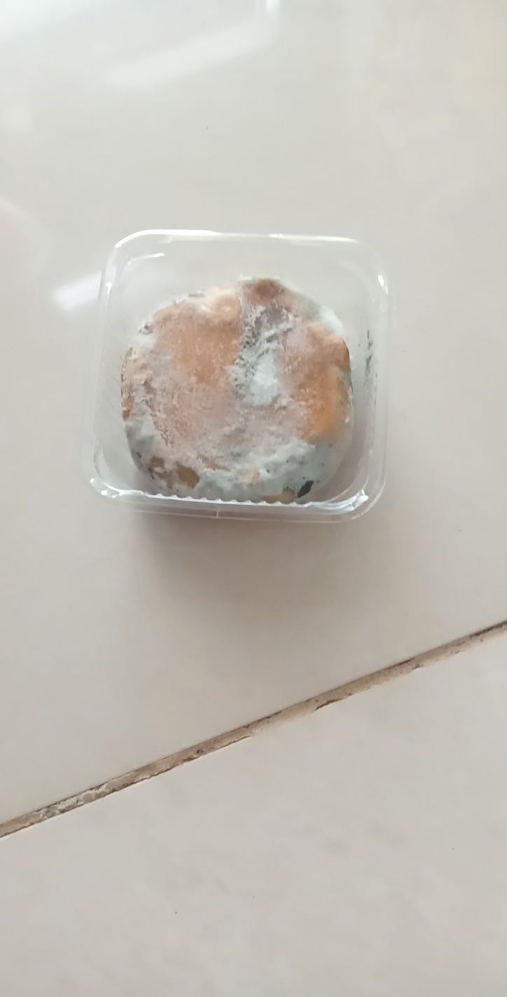 Bánh hạn tháng 7 mà nay bị móc meo rồi ạ ☹️😂